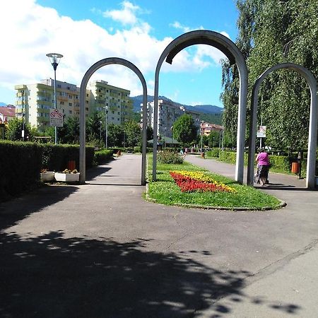 Apartament Nora Брашов Экстерьер фото